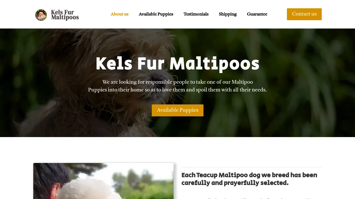 is kelsfurmaltipoos.com legit? screenshot