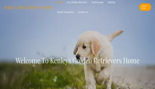 A screenshot of Genlanfamilystbernard.com
