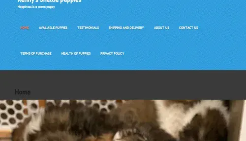 A screenshot of Genlanfamilystbernard.com