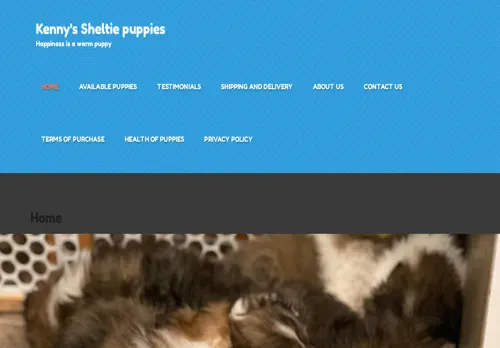 is kennys-sheltiepuppies.com legit? screenshot