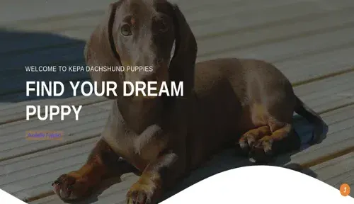 A screenshot of Genlanfamilystbernard.com