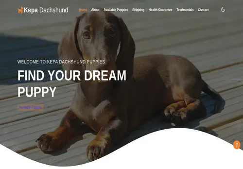 is kepadachshundpuppies.com legit? screenshot