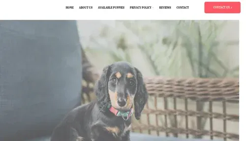 A screenshot of Genlanfamilystbernard.com
