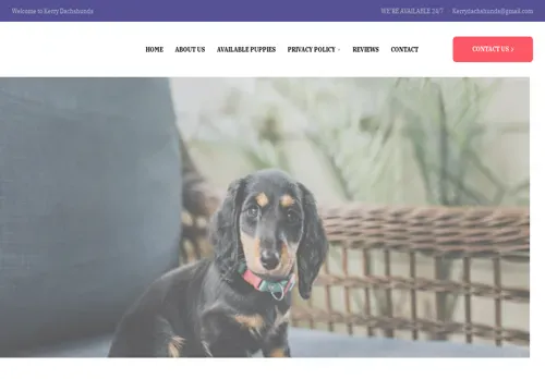 is kerrydachshunds.com legit? screenshot