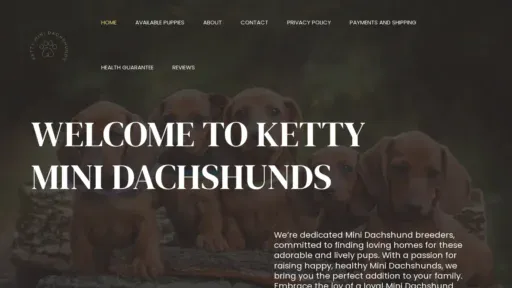 A screenshot of Kettyminidachshunds.com
