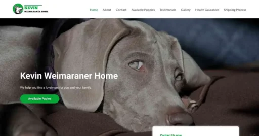 A screenshot of Genlanfamilystbernard.com