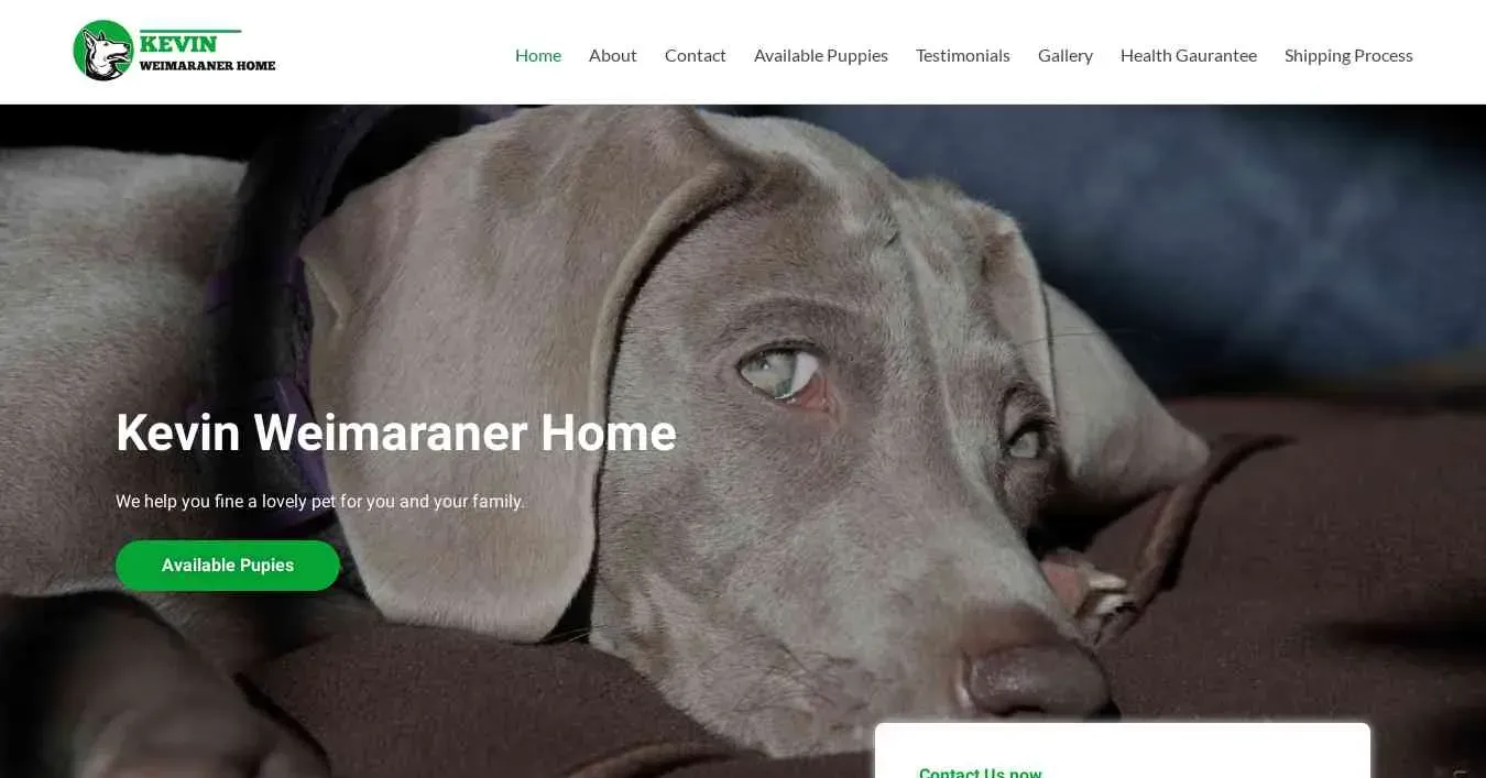 is kevinweimaraner.com legit? screenshot