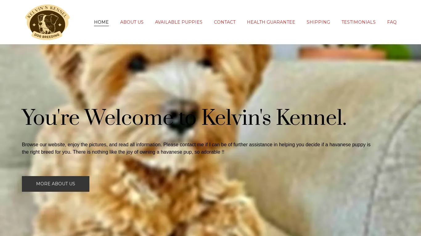 is khavanesepuppies.website legit? screenshot