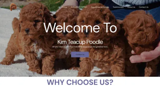A screenshot of Kimteacuppoodle.com