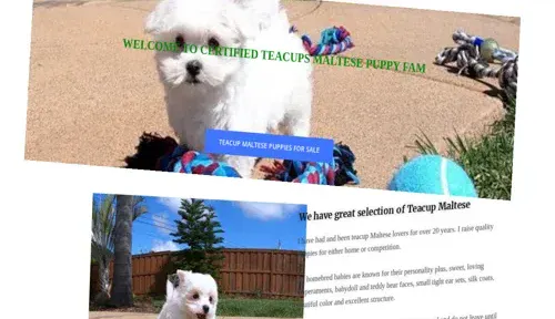 A screenshot of Genlanfamilystbernard.com