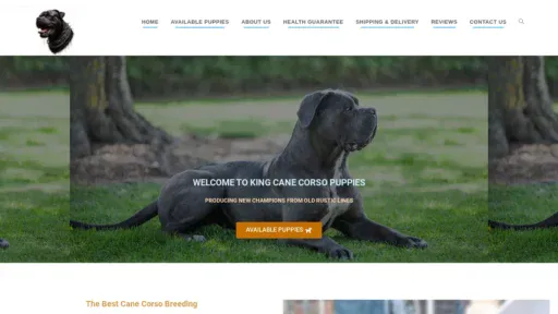 A screenshot of Kingscanecorso.com