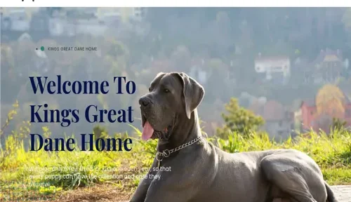 A screenshot of Genlanfamilystbernard.com
