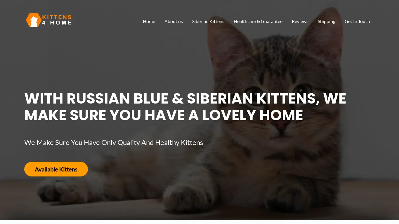is kittens4home.com legit? screenshot