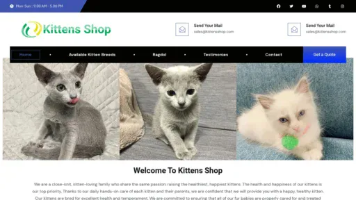 A screenshot of Kittensshop.com