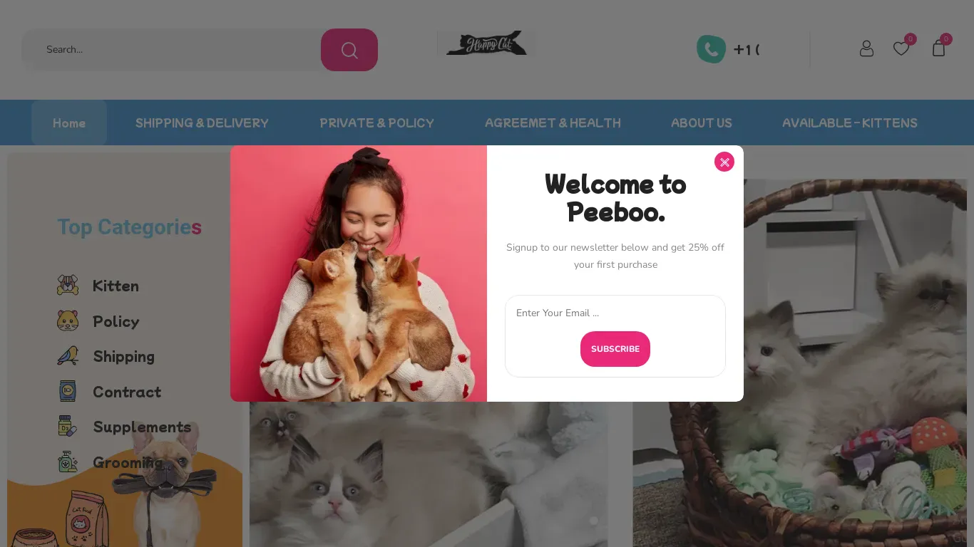 is Kitten for sale – Kitten for sale health guarantee pretty trained and good with kids legit? screenshot