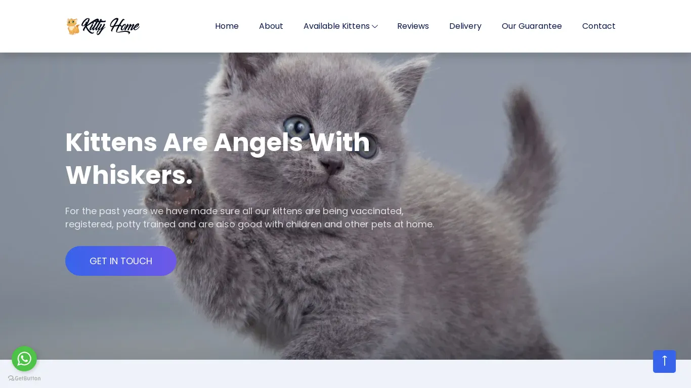 is kittyhome.co.za legit? screenshot