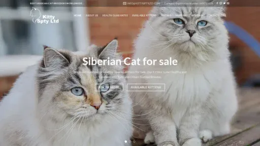 A screenshot of Kittysptyltd.com