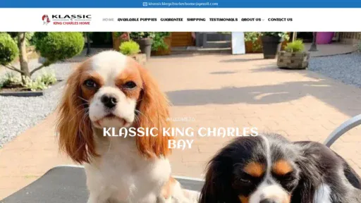 A screenshot of Klasickingcharleshome.com
