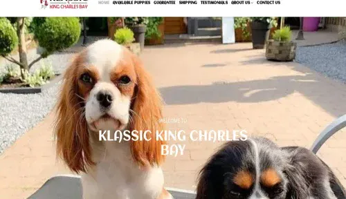 A screenshot of Genlanfamilystbernard.com
