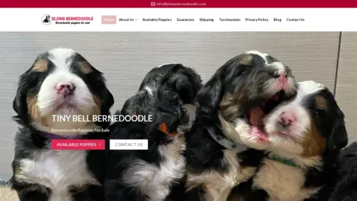 A screenshot of Kleinebernedoodle.com