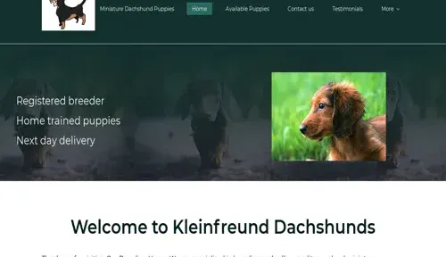 A screenshot of Genlanfamilystbernard.com