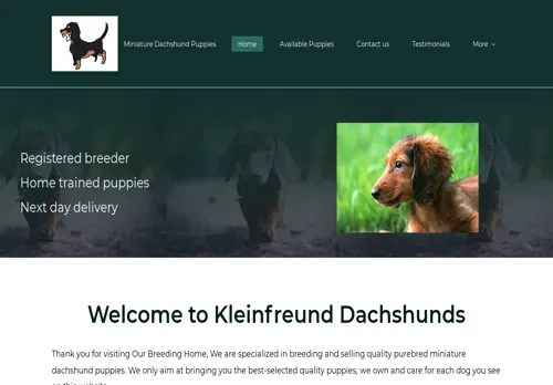 is kleinfdachshund.com legit? screenshot