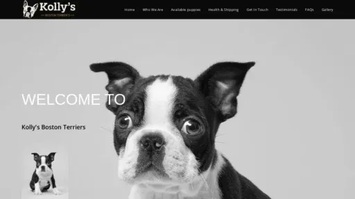 A screenshot of Kollysbostonterriers.com