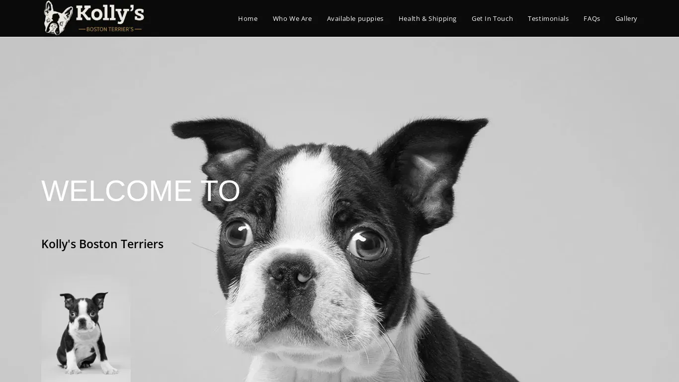is kollysbostonterriers.com legit? screenshot