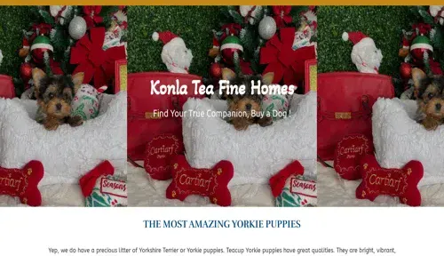 A screenshot of Genlanfamilystbernard.com