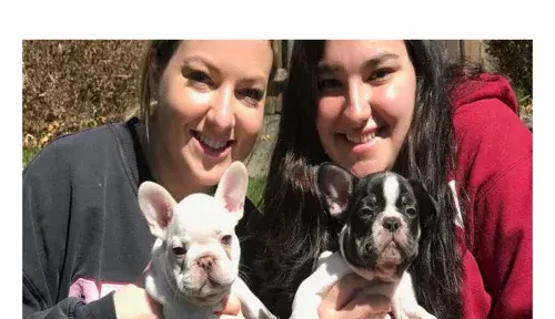 A screenshot of Genlanfamilystbernard.com