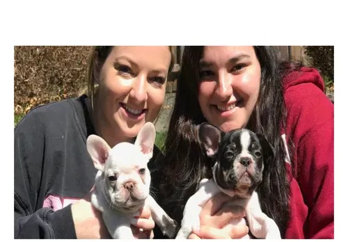 is kreativefrenchies.com legit? screenshot