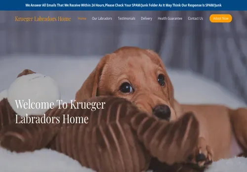 is kruegerlabradorshome.com legit? screenshot