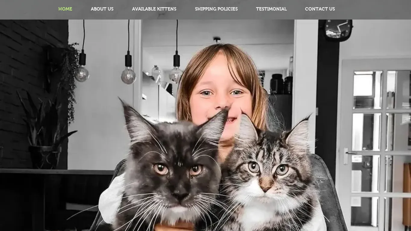 is krugergracefulmaine-cooncats.com legit? screenshot