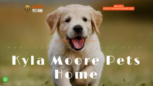 A screenshot of Kylamoorepetshome.com
