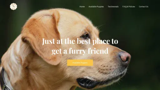 A screenshot of Labradordynasty.com