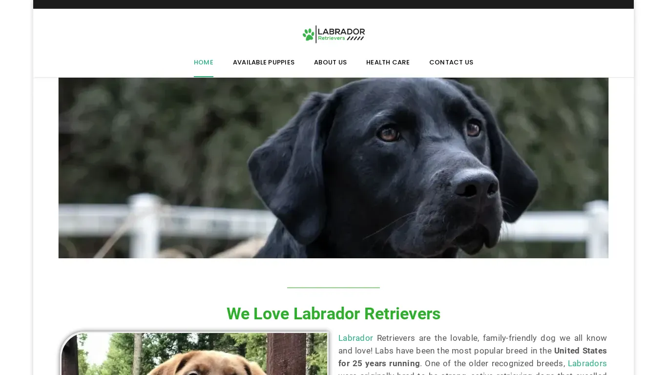 is labradorpuppies.online legit? screenshot