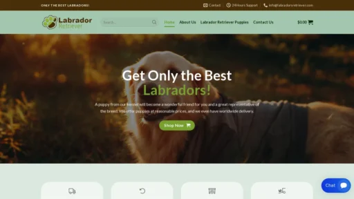 A screenshot of Labradorsretriever.com