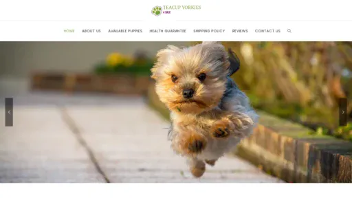A screenshot of Lacoshihtzu.com