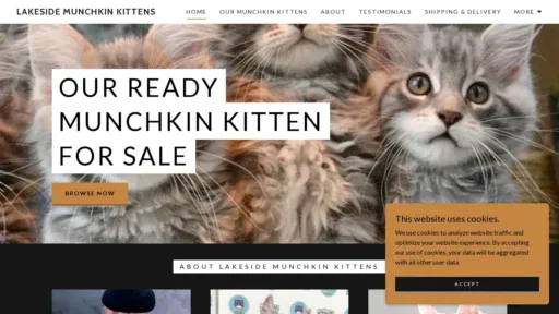 A screenshot of Lakesidemunchkinkittens.com