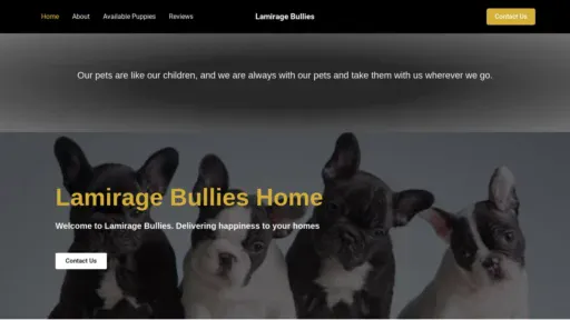 A screenshot of Lamiragebullies.com