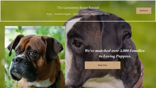 A screenshot of Lannisboxerpuppies.com