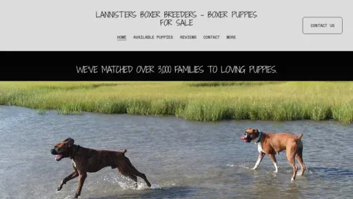 A screenshot of Lannisterboxerpuppies.com