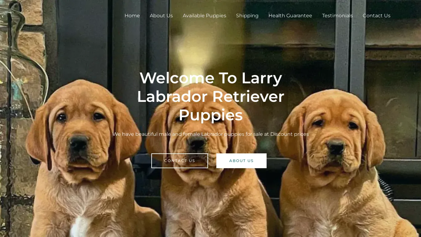 is larrylabradoretriever.com legit? screenshot