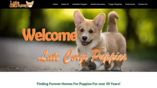 A screenshot of Latecorgipuppies.com