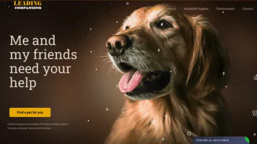 A screenshot of Leadingcompanions.com
