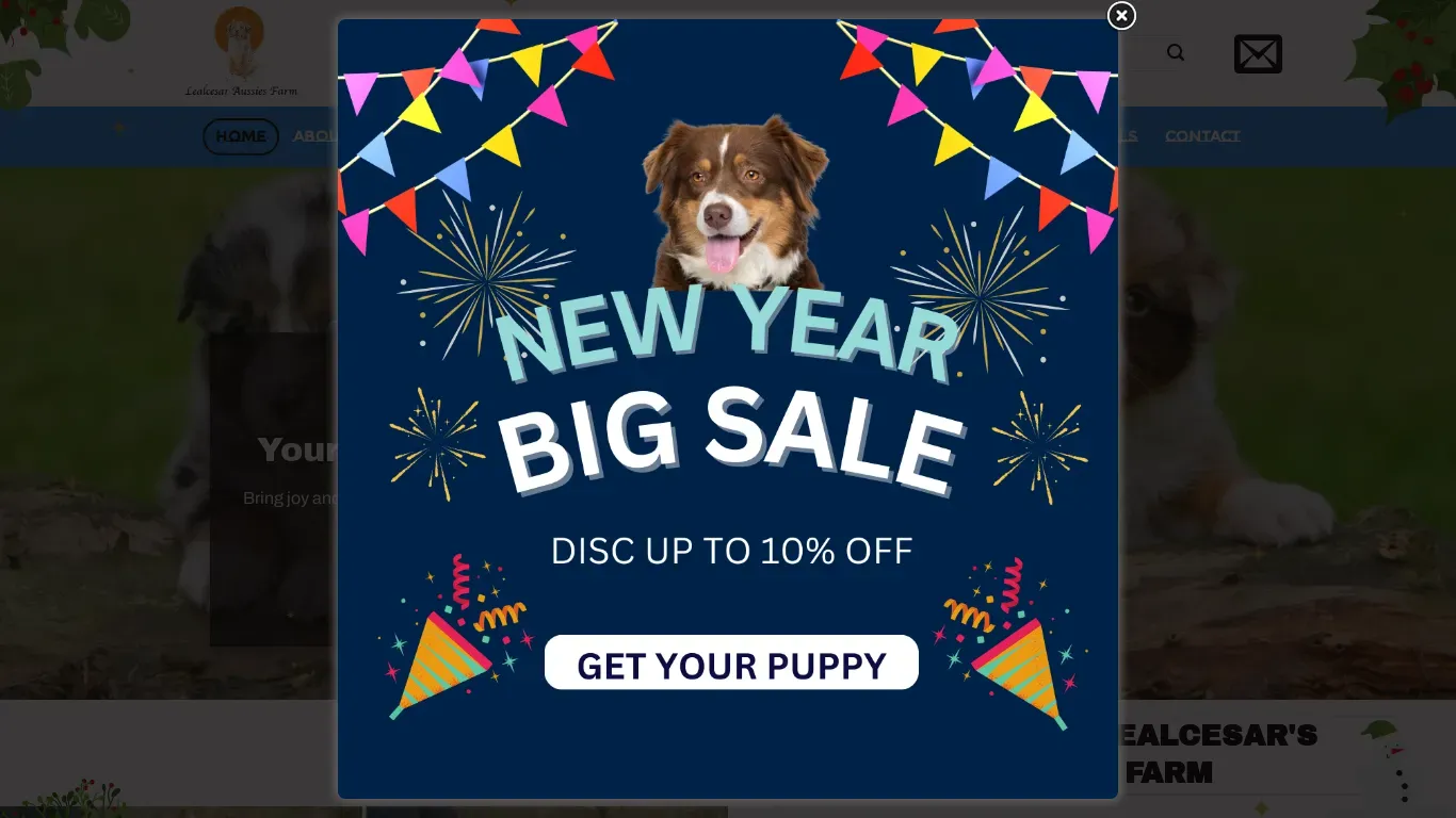is Lealcesar aussies farm – Buy Standard Australian Shepherds Puppy legit? screenshot