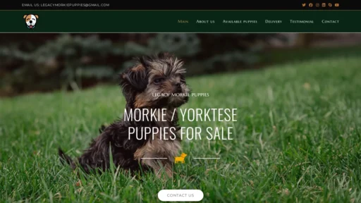 A screenshot of Legacymorkiepuppies.com