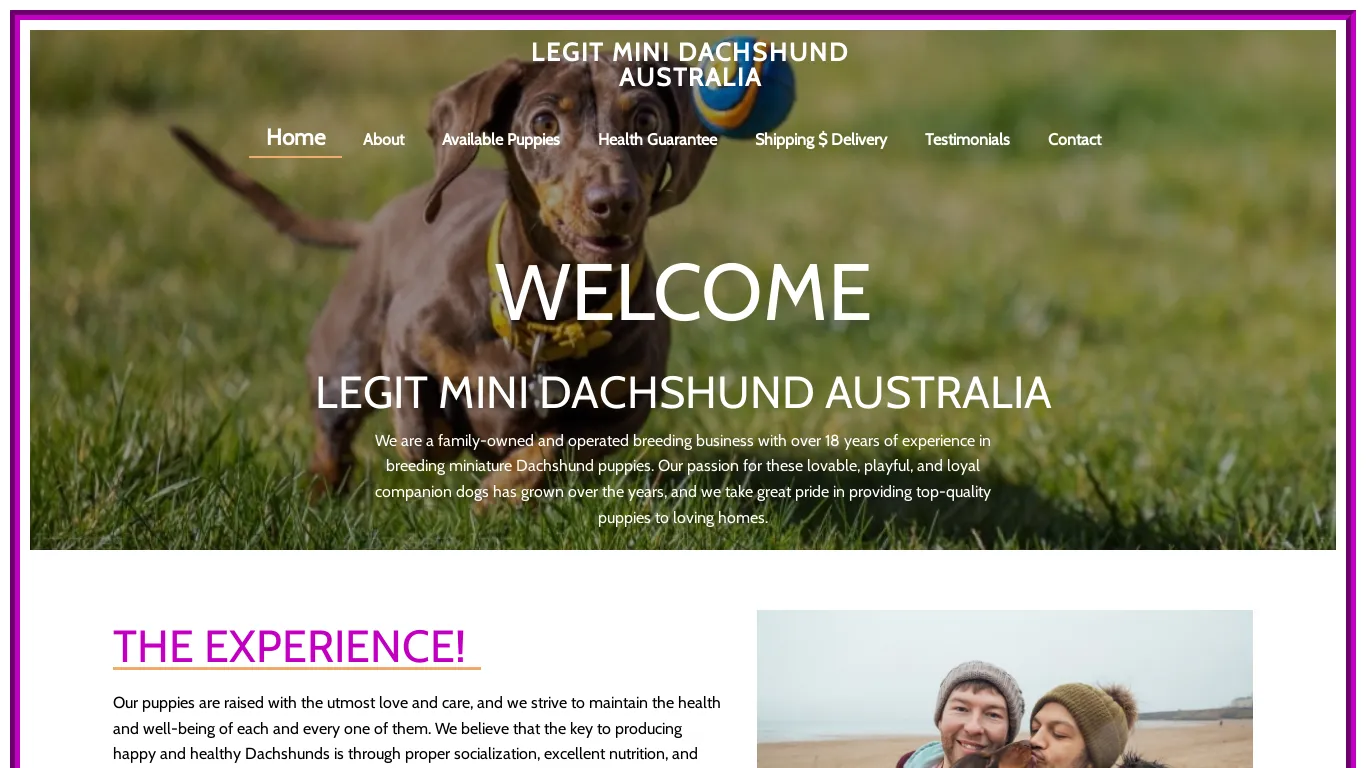 is legitminidachshundaustralia.com legit? screenshot