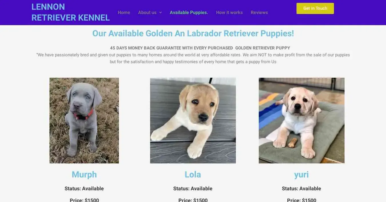 is lennonretrieverkennel.com legit? screenshot