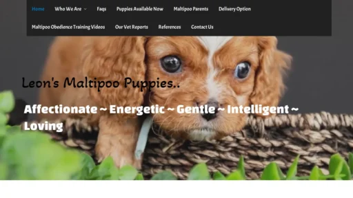 A screenshot of Leonfamilyus.com